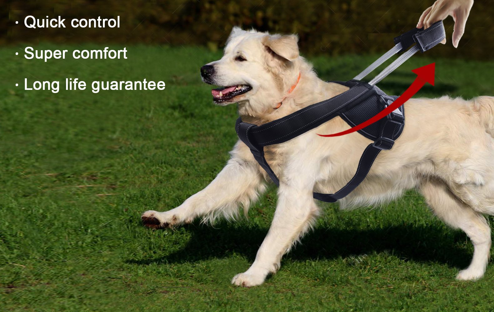 YOOGAO Pet Quick-Release Buckles with D-Ring enable versatile leash use