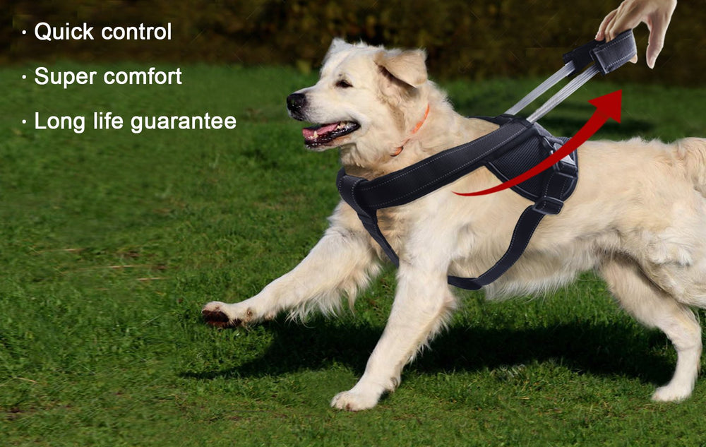 YOOGAO Pet Quick-Release Buckles with D-Ring enable versatile leash use