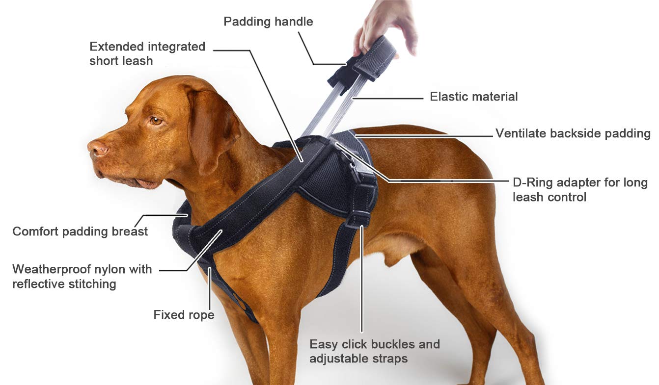 YOOGAO Pet Soft Padding protects the chest and back during long walks