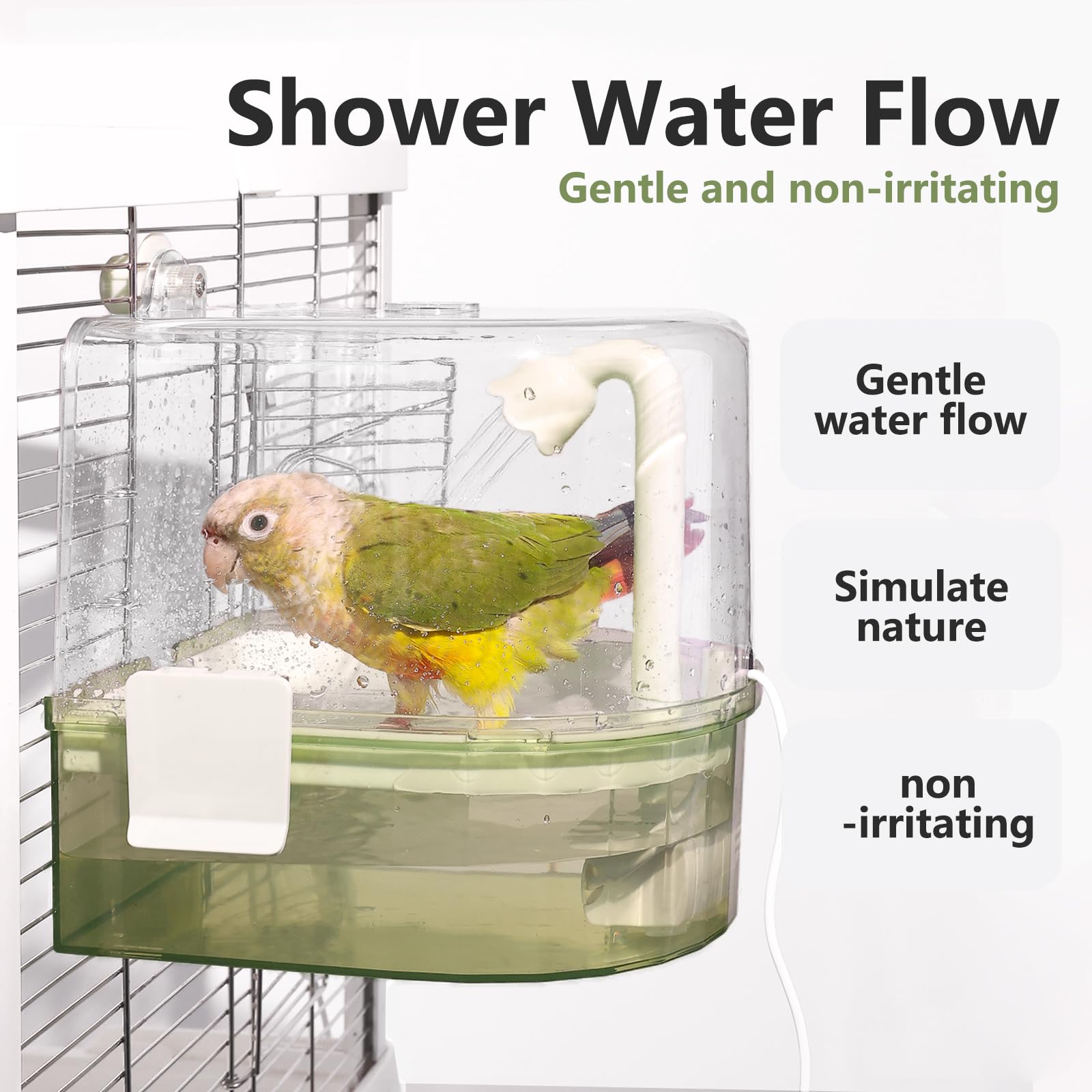 YOOSO WING ideal for small-to-medium birds like lovebirds and budgies