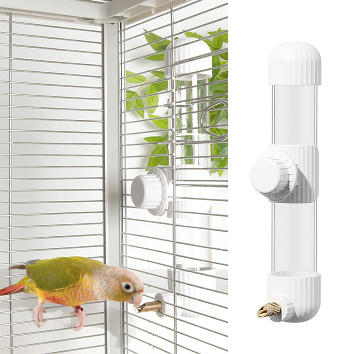 YOOSO WING no-mess water dispenser inside cage keeps water clean for birds