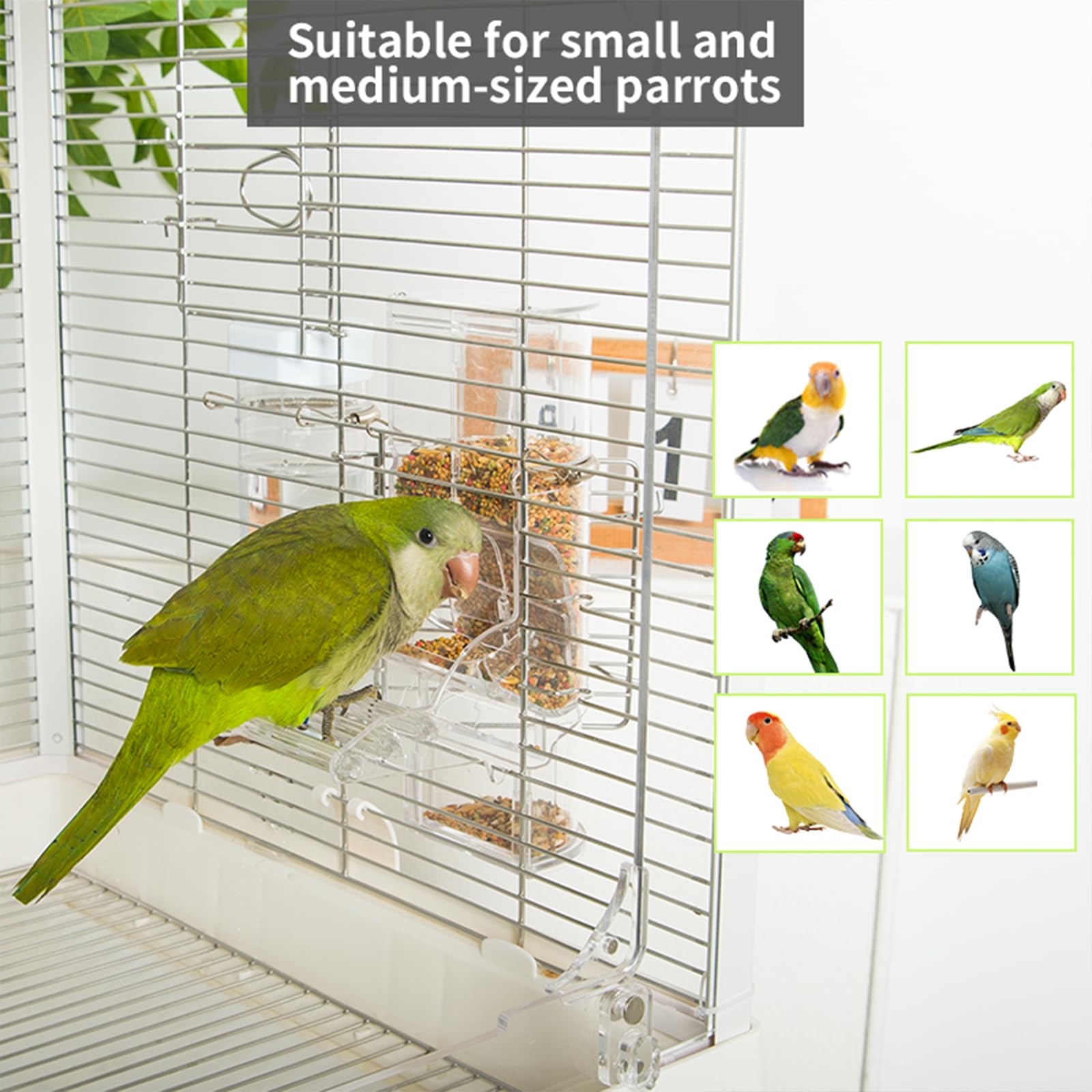 YOOSO WING Transparent Food and Water Compartments allow quick level checks.