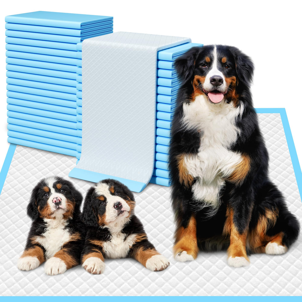 YOPETKI extra-large pads 28x34 pack front for home training protection