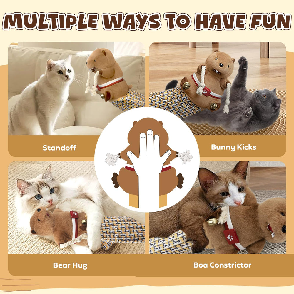 YoPoll Cat Puppet Wrestler on couch illustrates indoor exercise and energy release.