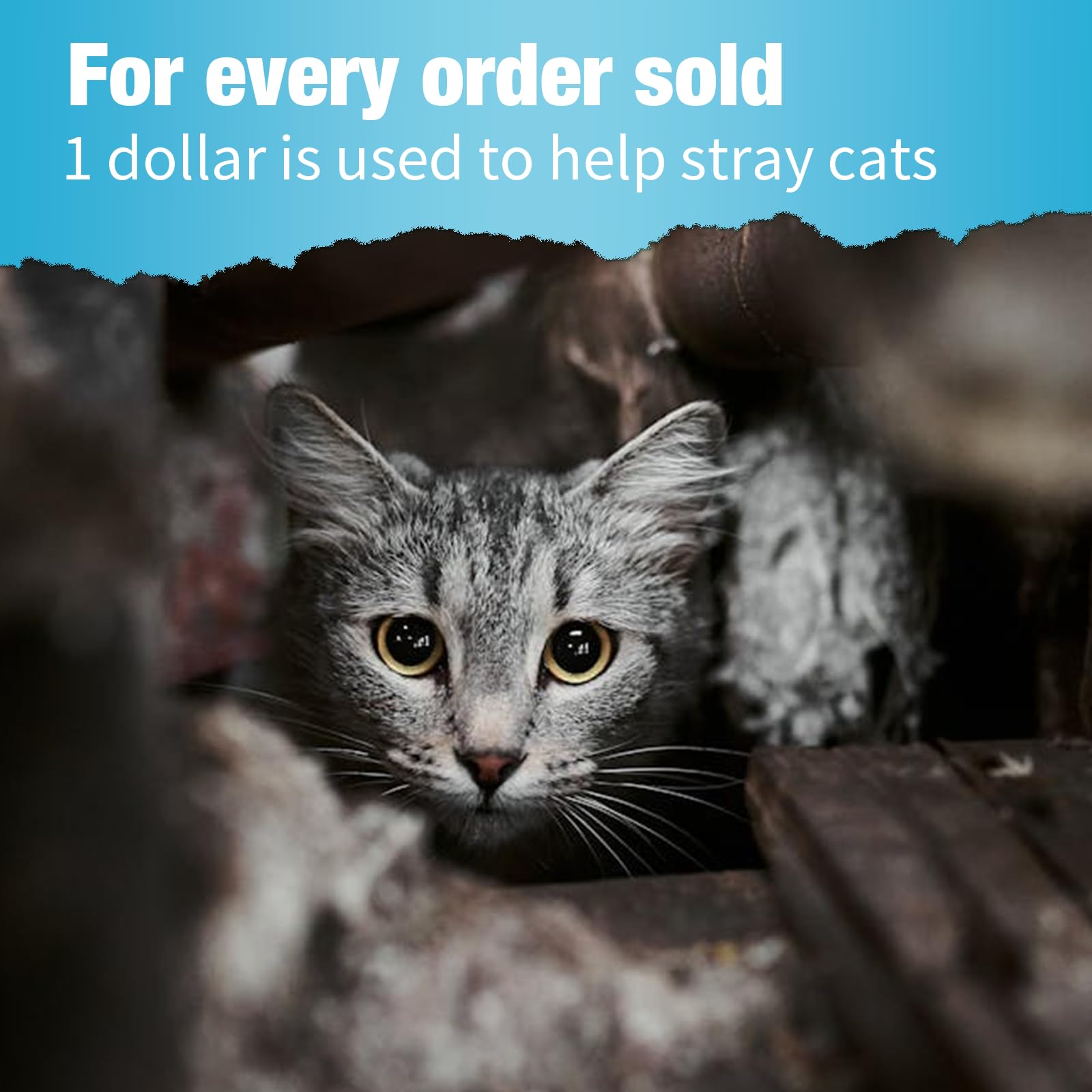 YOSSOA Hairball-Friendly Treats—cats may enjoy as a snack while grooming.
