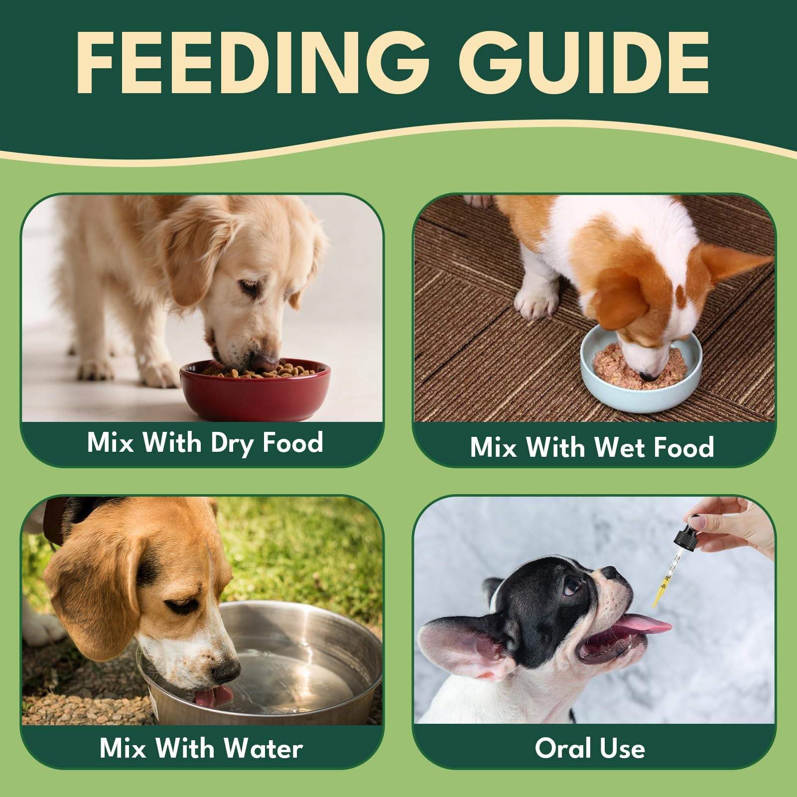 YOTANGO collagen suitable for all breeds and life stages