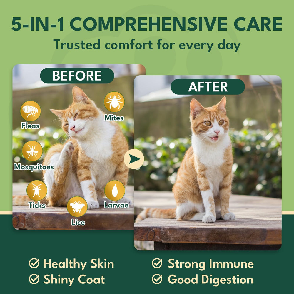 YOTANGO cat flea chews include lactobacillus and inulin for gut balance.