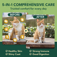 YOTANGO cat flea chews include lactobacillus and inulin for gut balance.