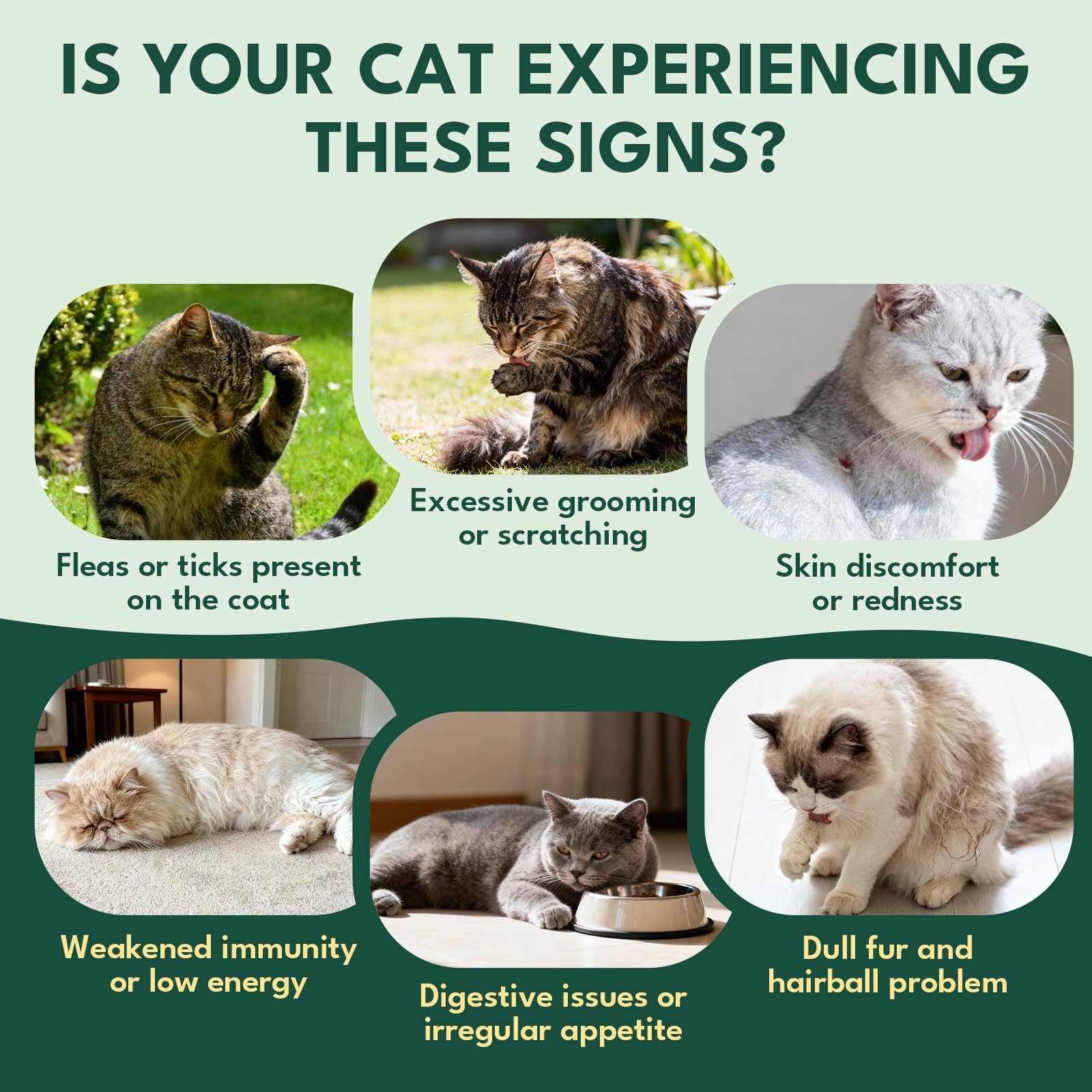 YOTANGO cat flea chews feature natural ingredients for gentle, daily care.