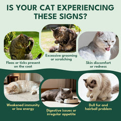 YOTANGO cat flea chews feature natural ingredients for gentle, daily care.