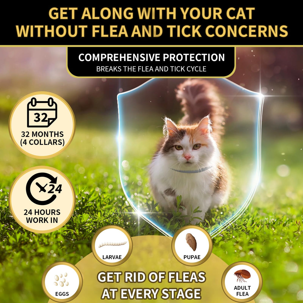 Cat wearing YOTANGO flea collar highlights comfortable daily wear.