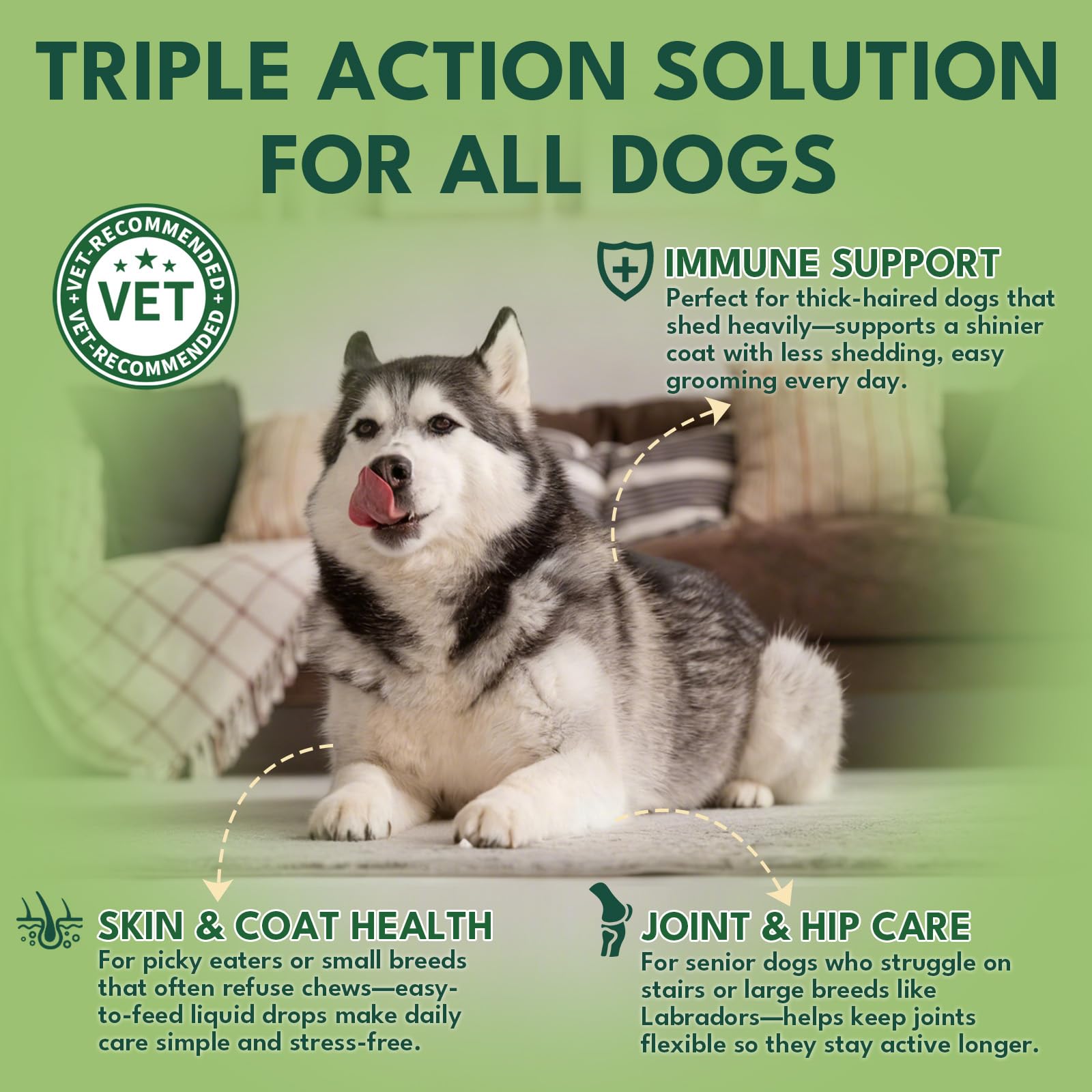 YOTANGO dog collagen drops bottle highlighting joint support for aging dogs
