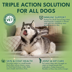 YOTANGO dog collagen drops bottle highlighting joint support for aging dogs