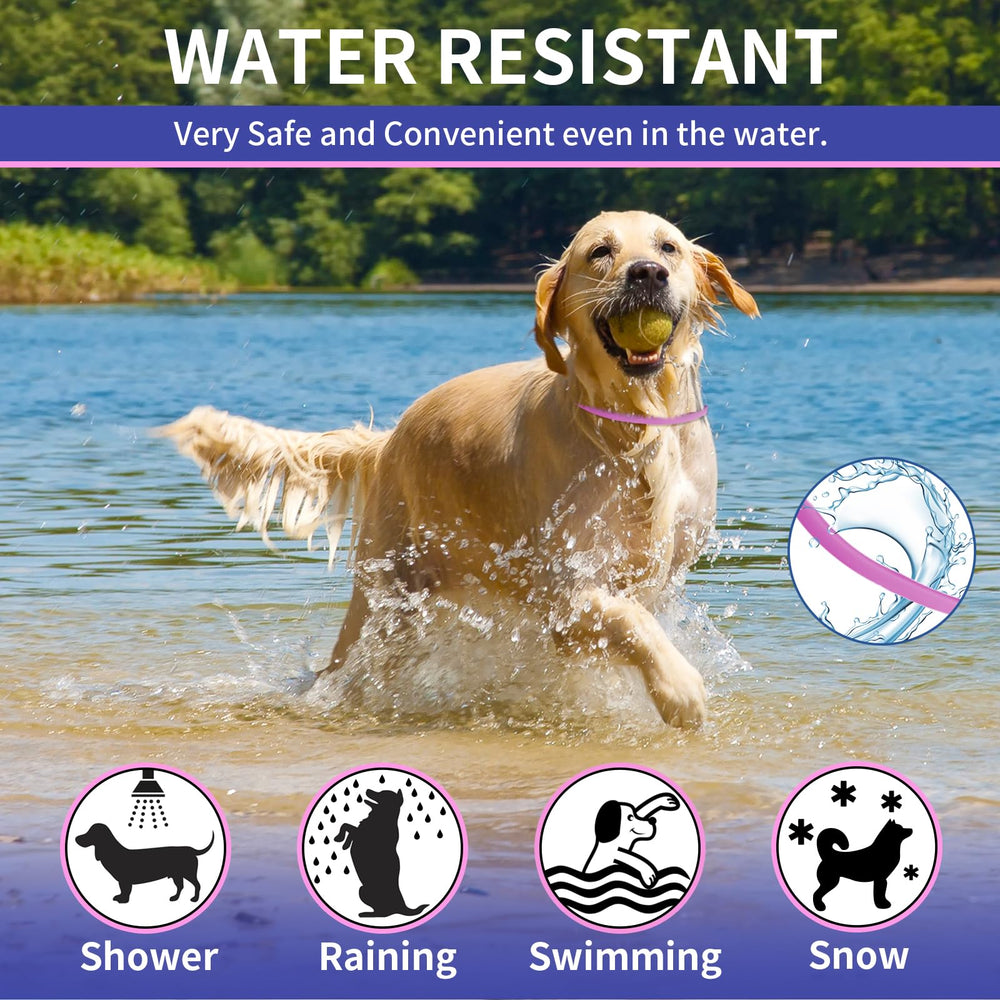 YOTANGO non-greasy formula leaves no residue on fur or hands.