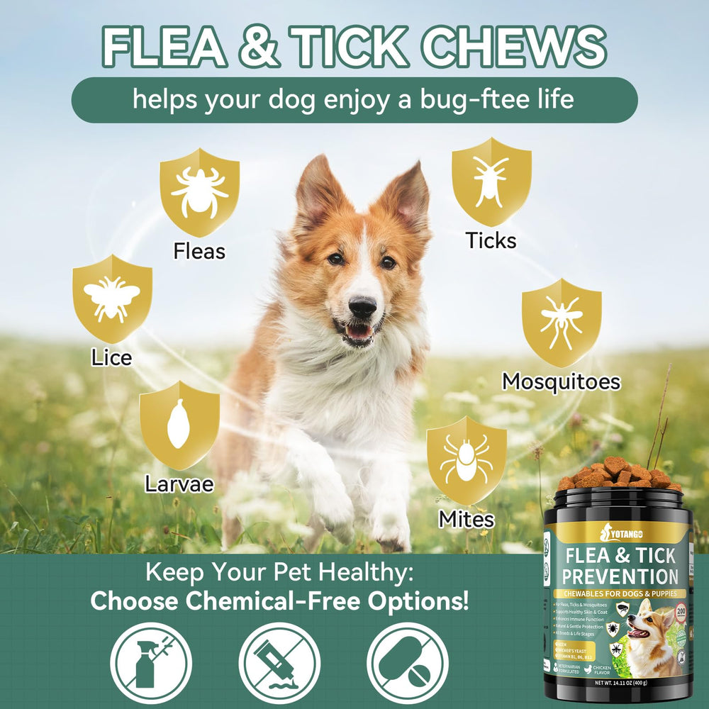 YOTANGO dog enjoying chew as a simple daily supplement