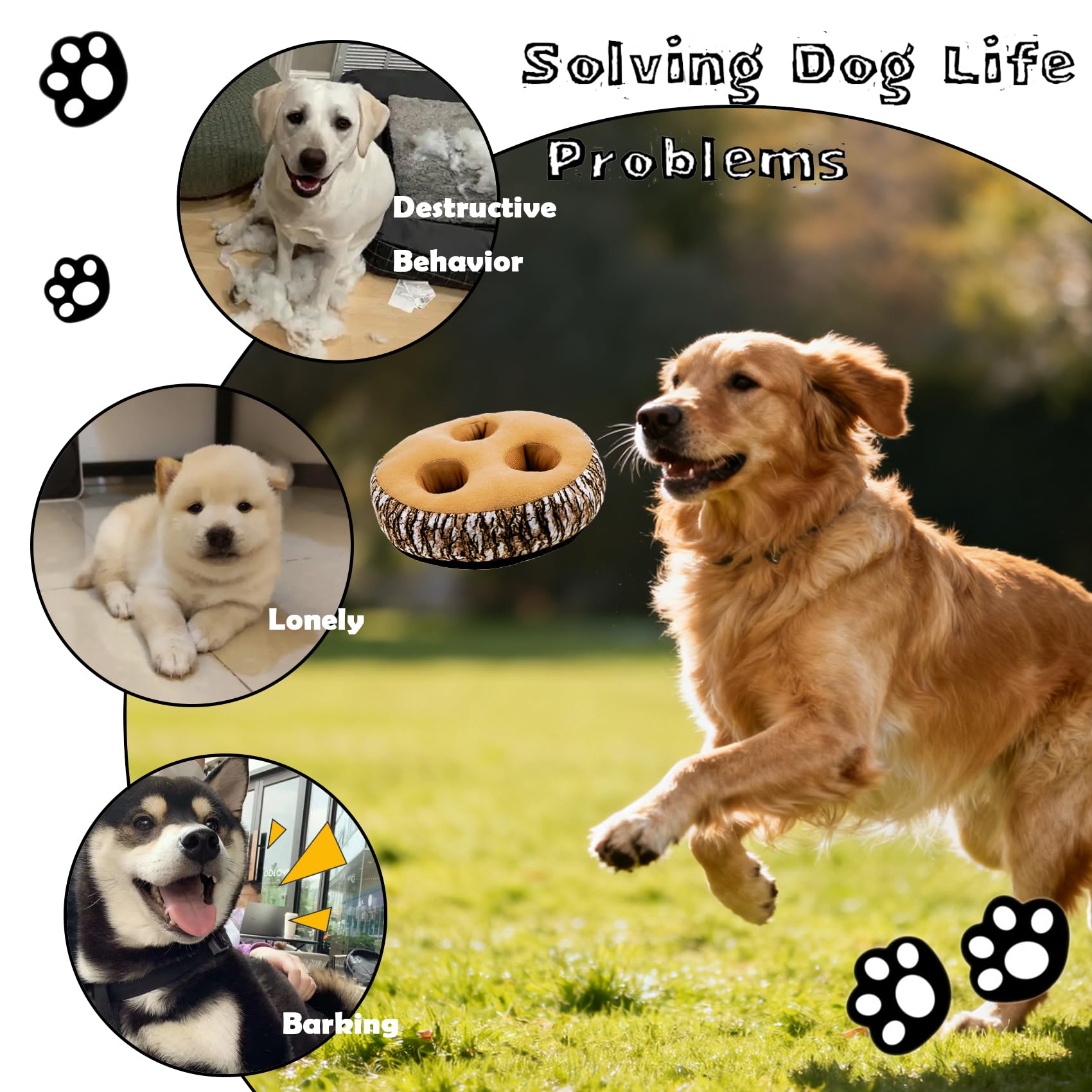 YOUBEMAGIC flying frisbee mode invites fetch after puzzle play.