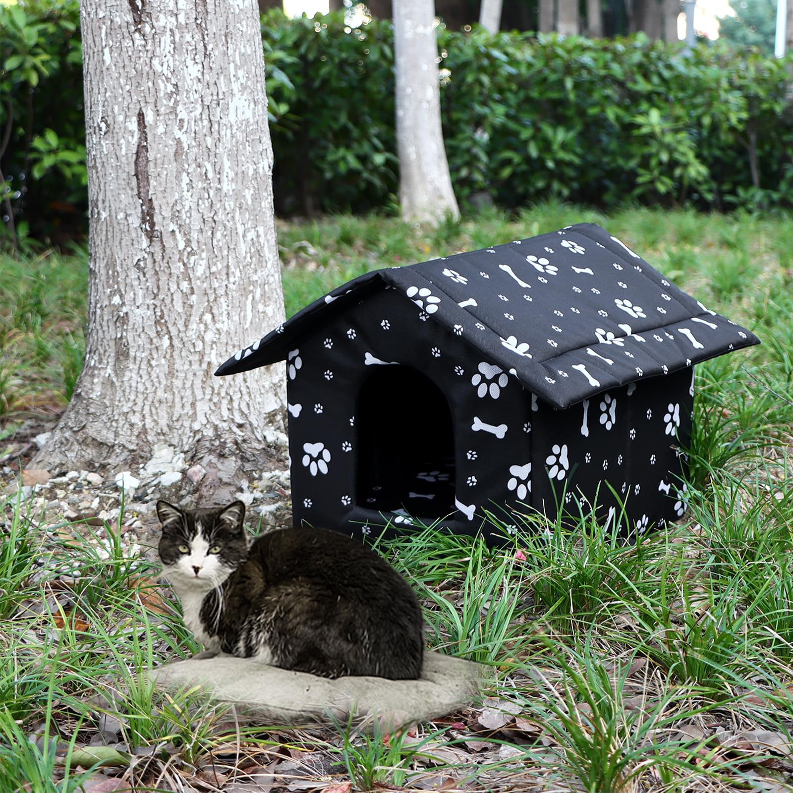 Youdaju easy-assembly cat house requires no tools for quick setup