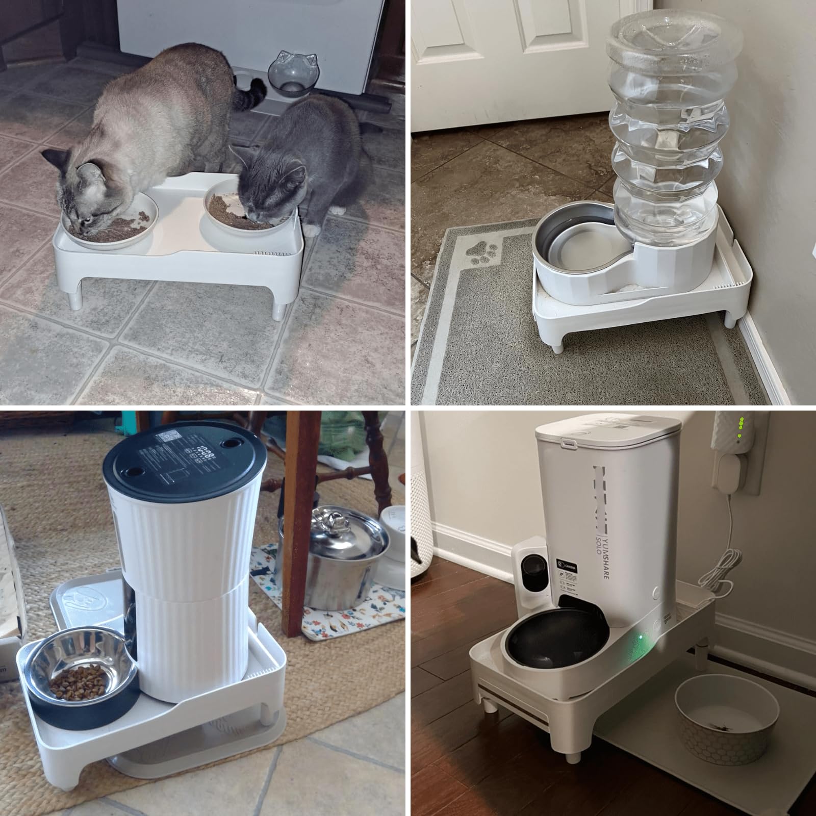 Youeon raised pet feeder stand daily mealtime scene ready for feeding