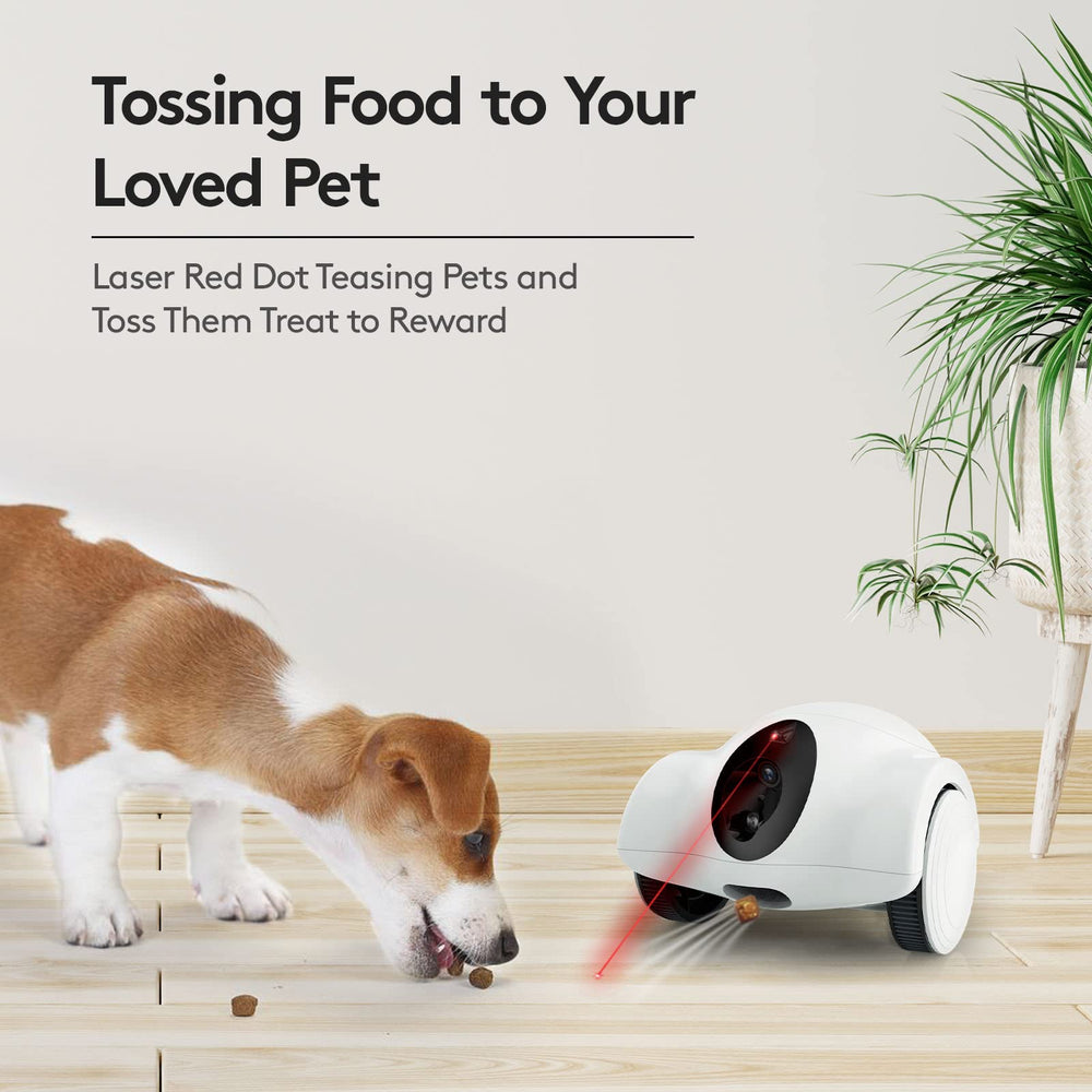 Youpet-2way-audio-talk-listen shows real-time two-way audio for pets and caregivers.