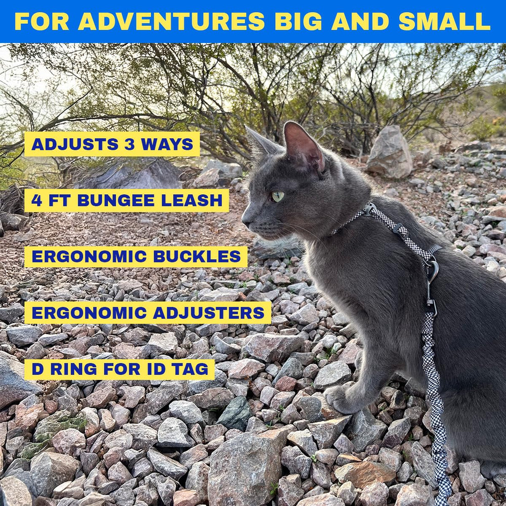Your Cat Backpack adjustable harness closeup showing ergonomic straps and snug fit.