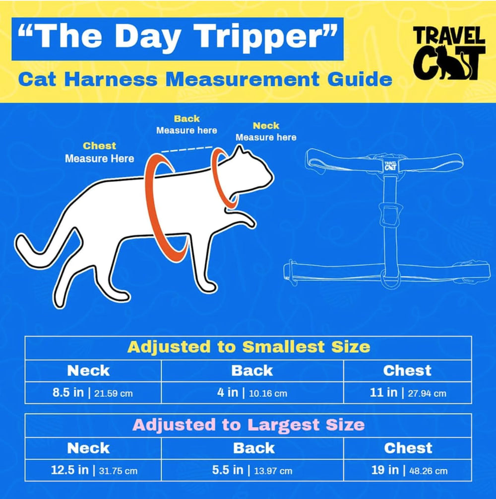 Your Cat Backpack color-block harness yellow blue red supports secure explorations.