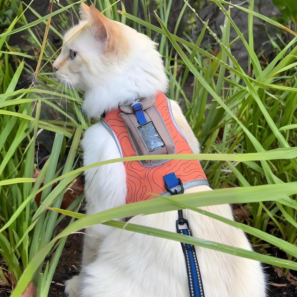 Your Cat Backpack Pathfinder escape proof design emphasizes secure exploration.