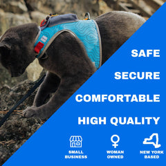 Your Cat Backpack Pathfinder harness on cat medium demonstrates comfortable adjustable fit