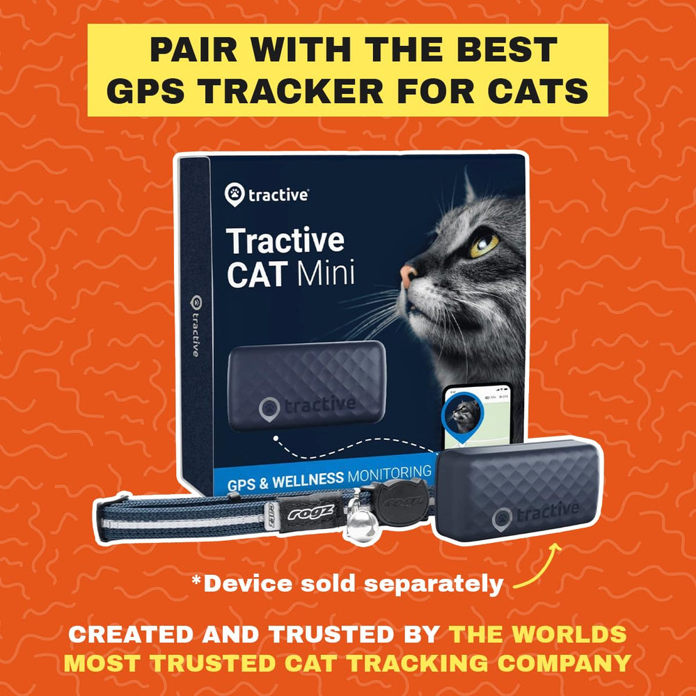 Your Cat Backpack Pathfinder travel use case demonstrates adaptable safety gear.