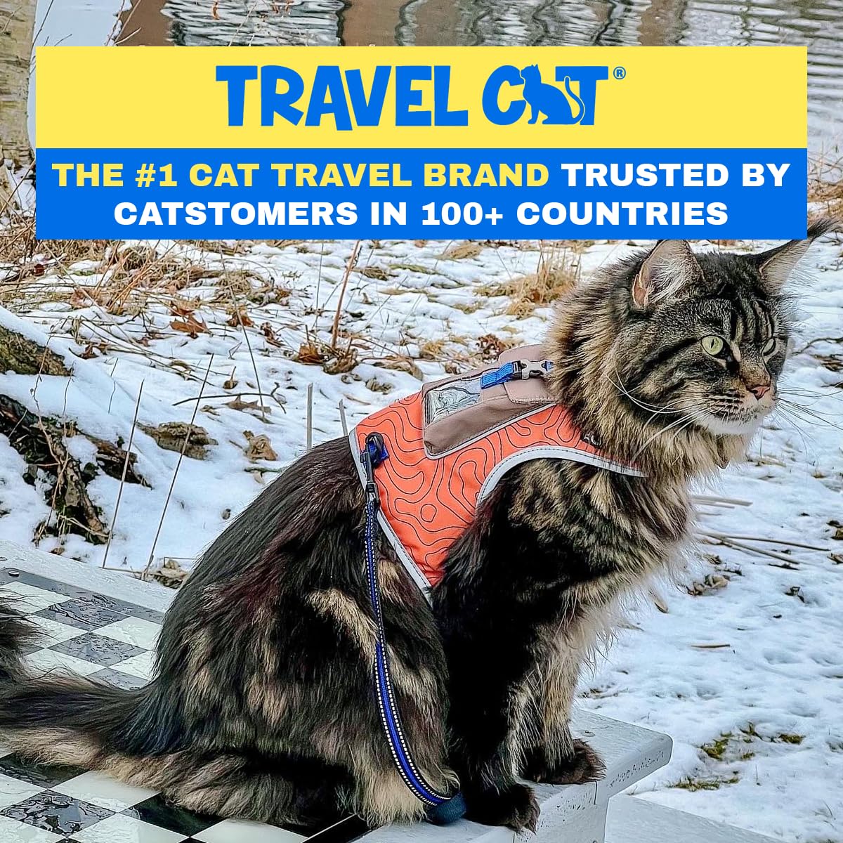 Your Cat Backpack Pathfinder harness reflective edges boost night safety