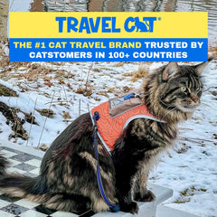 Your Cat Backpack Pathfinder harness reflective edges boost night safety