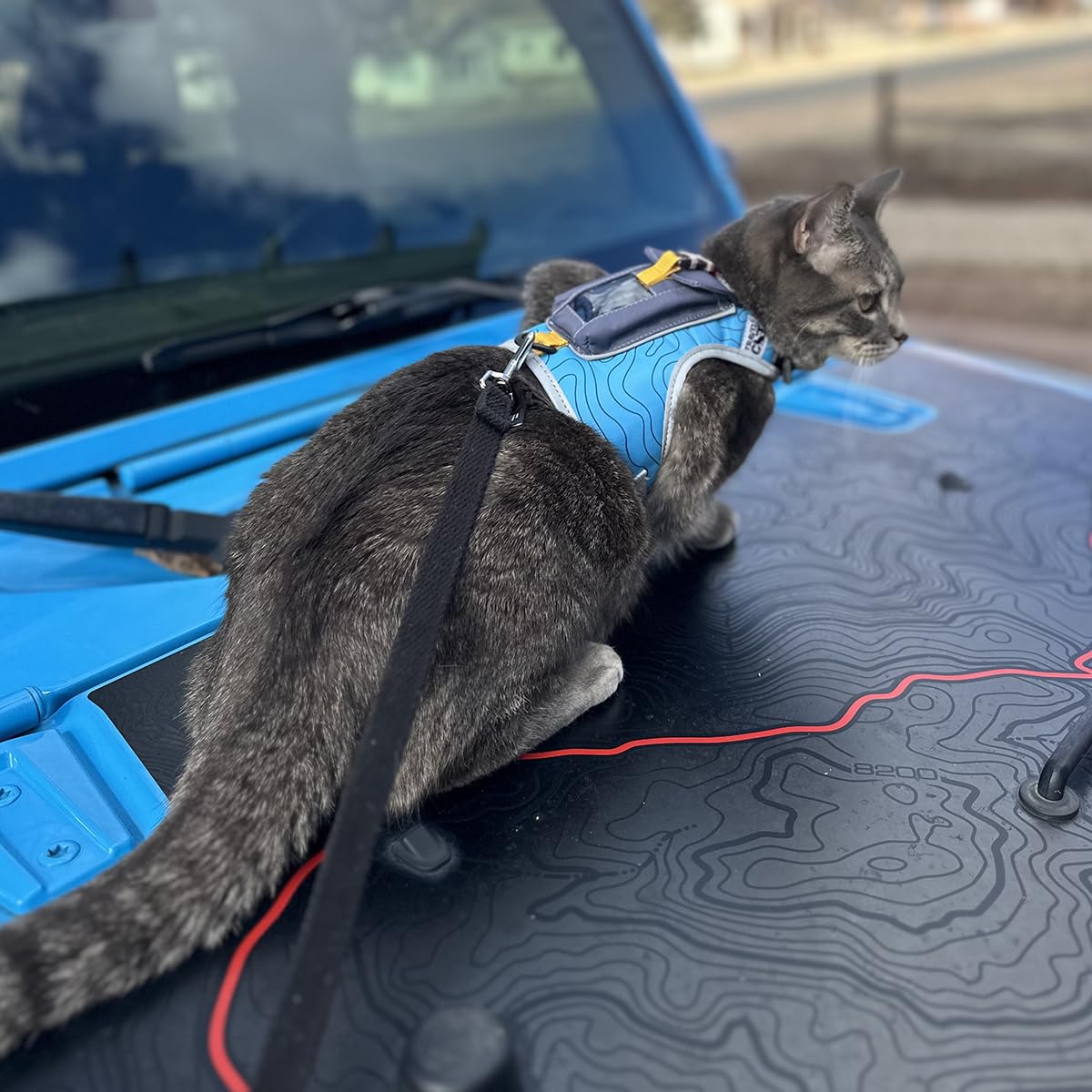 Your Cat Backpack Pathfinder two-pattern color options for visibility and style