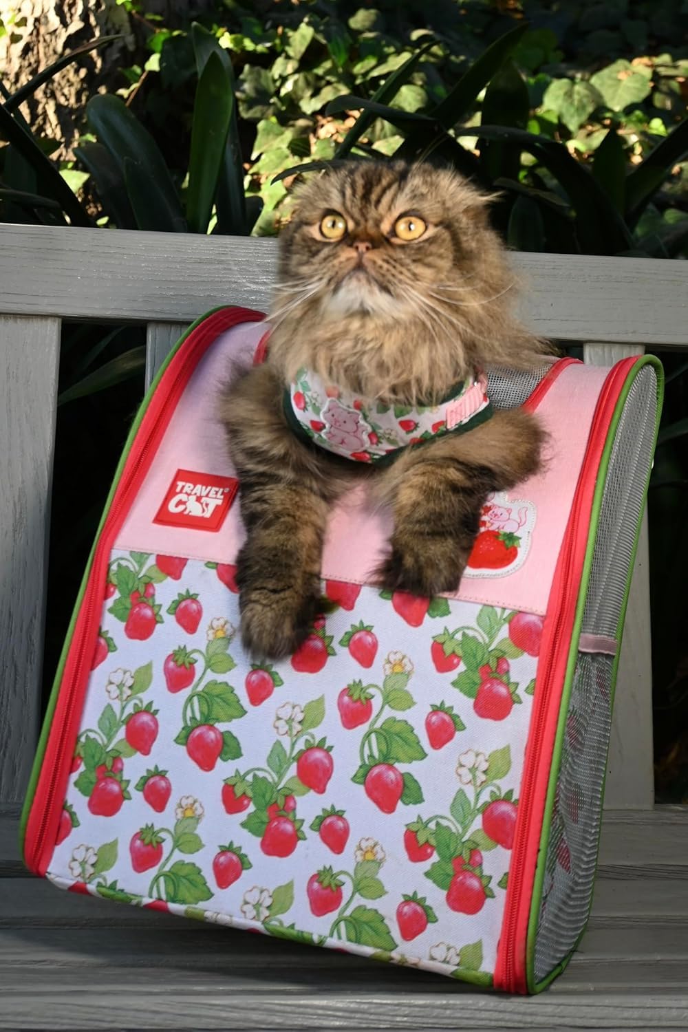 Your Cat Backpack Strawberry Shortcake Harness buckles secure escape-proof security.