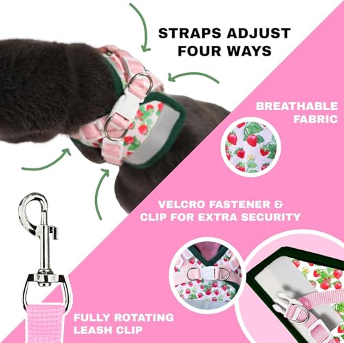 Your Cat Backpack Strawberry Shortcake Harness adjustable fit shown for growing kittens.