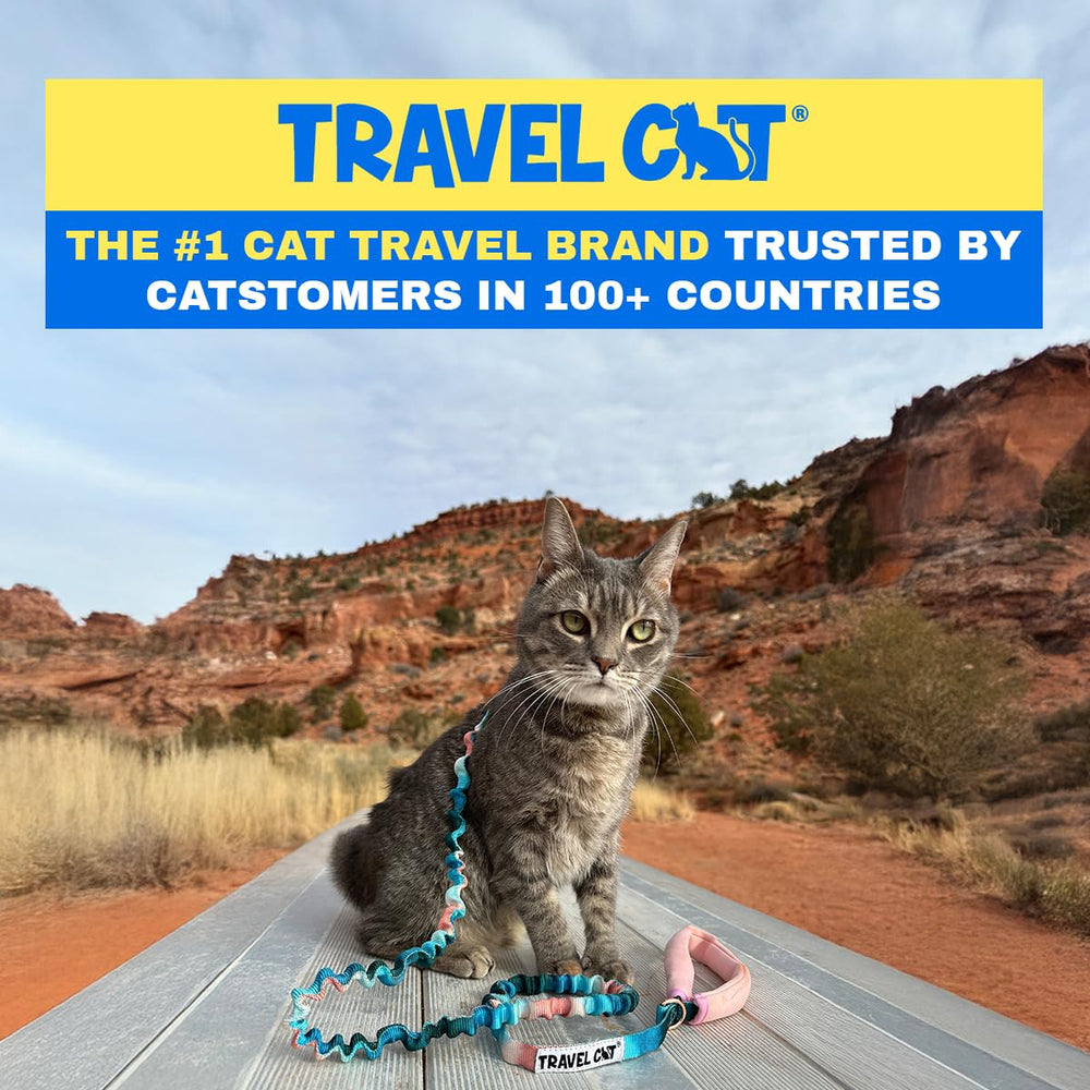 Your Cat Backpack color-block harness and leash close-up shows adjustable straps for a snug fit