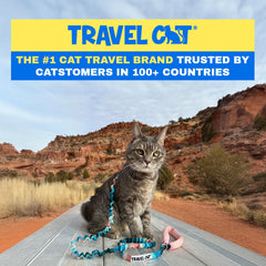 Your Cat Backpack color-block harness and leash close-up shows adjustable straps for a snug fit