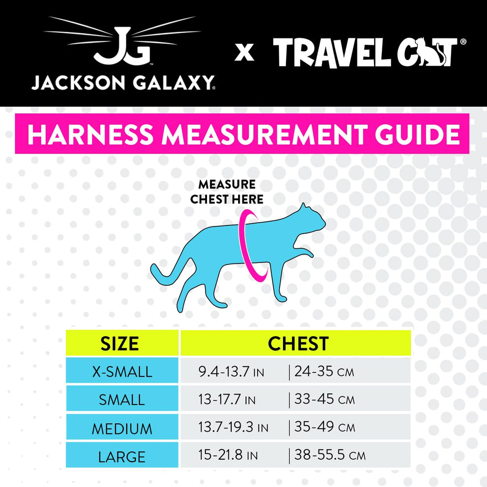 Your Cat Backpack Travel Cat Outdoor-walking-hiking-use supports safe exploration in fresh air.