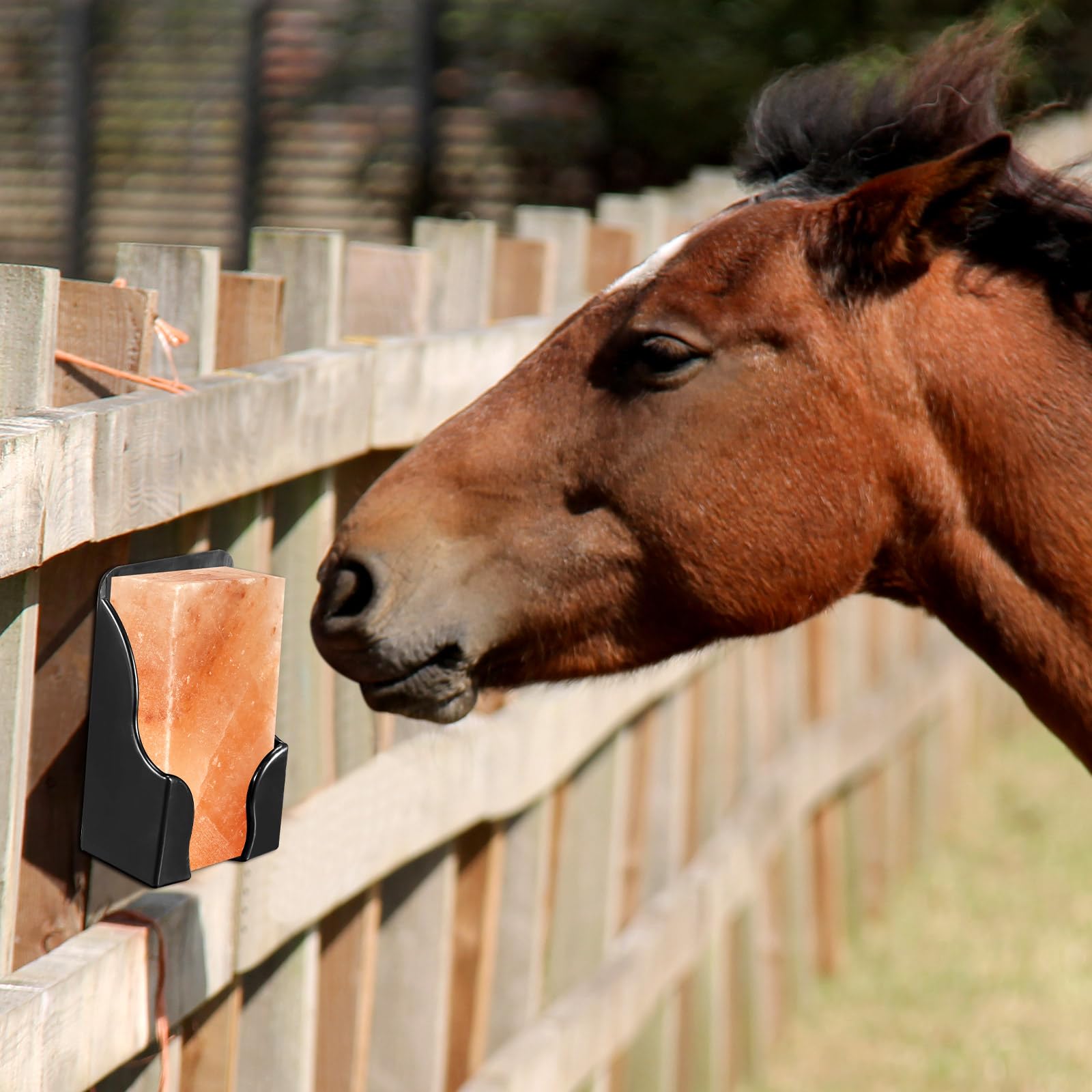 Yousoontic safe odorless material ensures livestock safety and comfort.