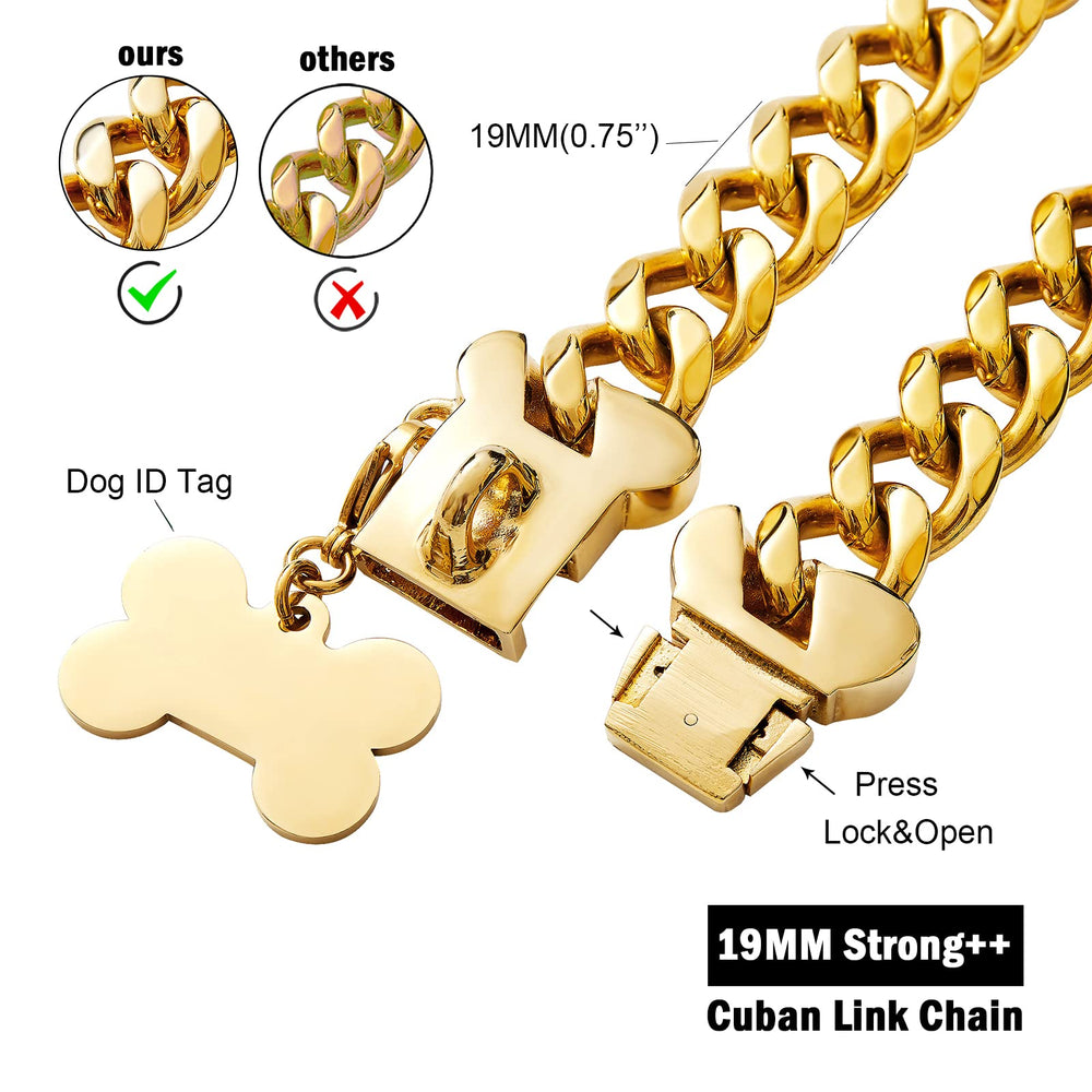 Yowity 19mm-wide stainless steel dog collar shows durable construction ready for training sessions.