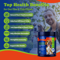 YoYoBay salmon-blueberry flavor chews offer tasty daily wellness for dogs.
