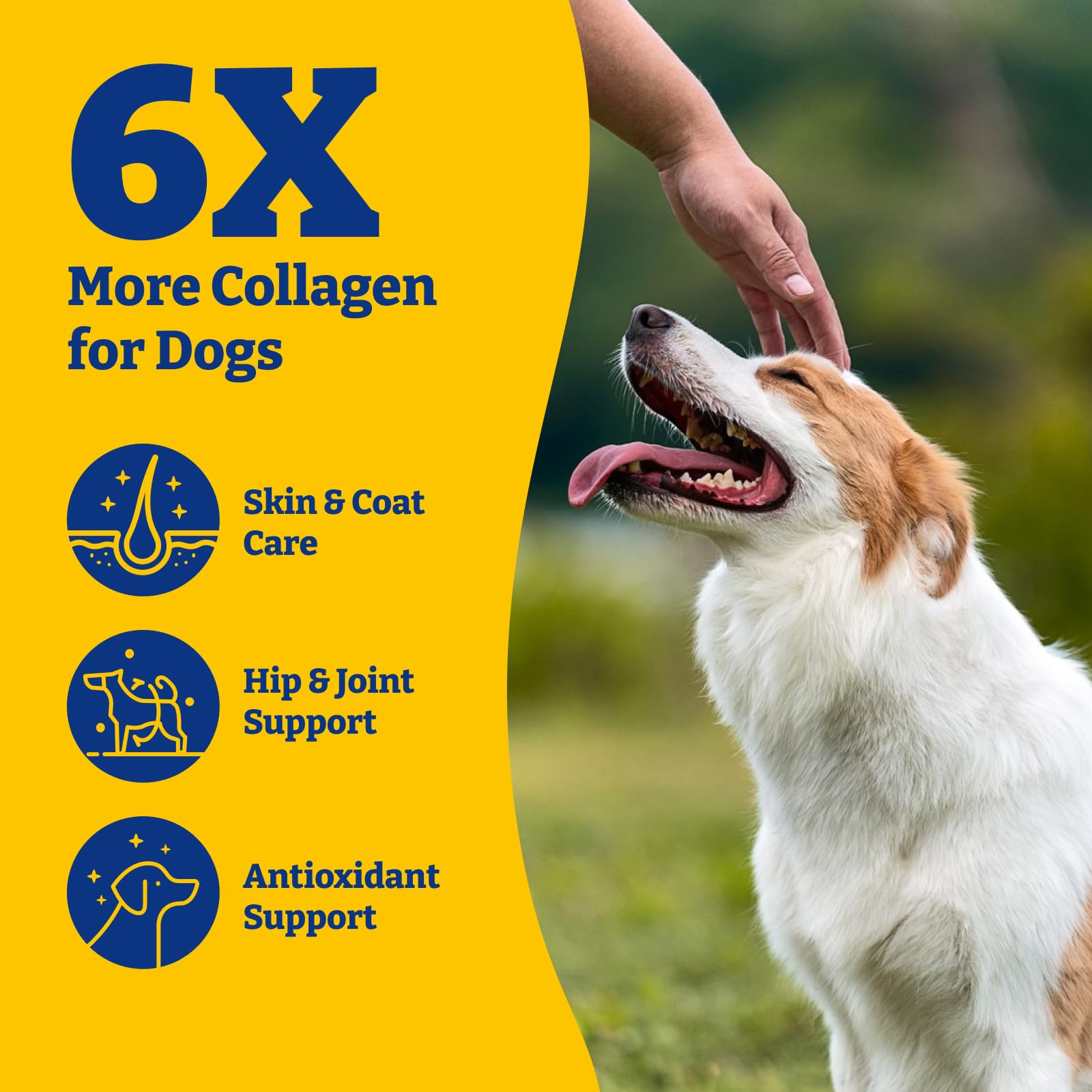 YoYoBay collagen dogs duck-pear flavor closeup suggests tasty support for joints