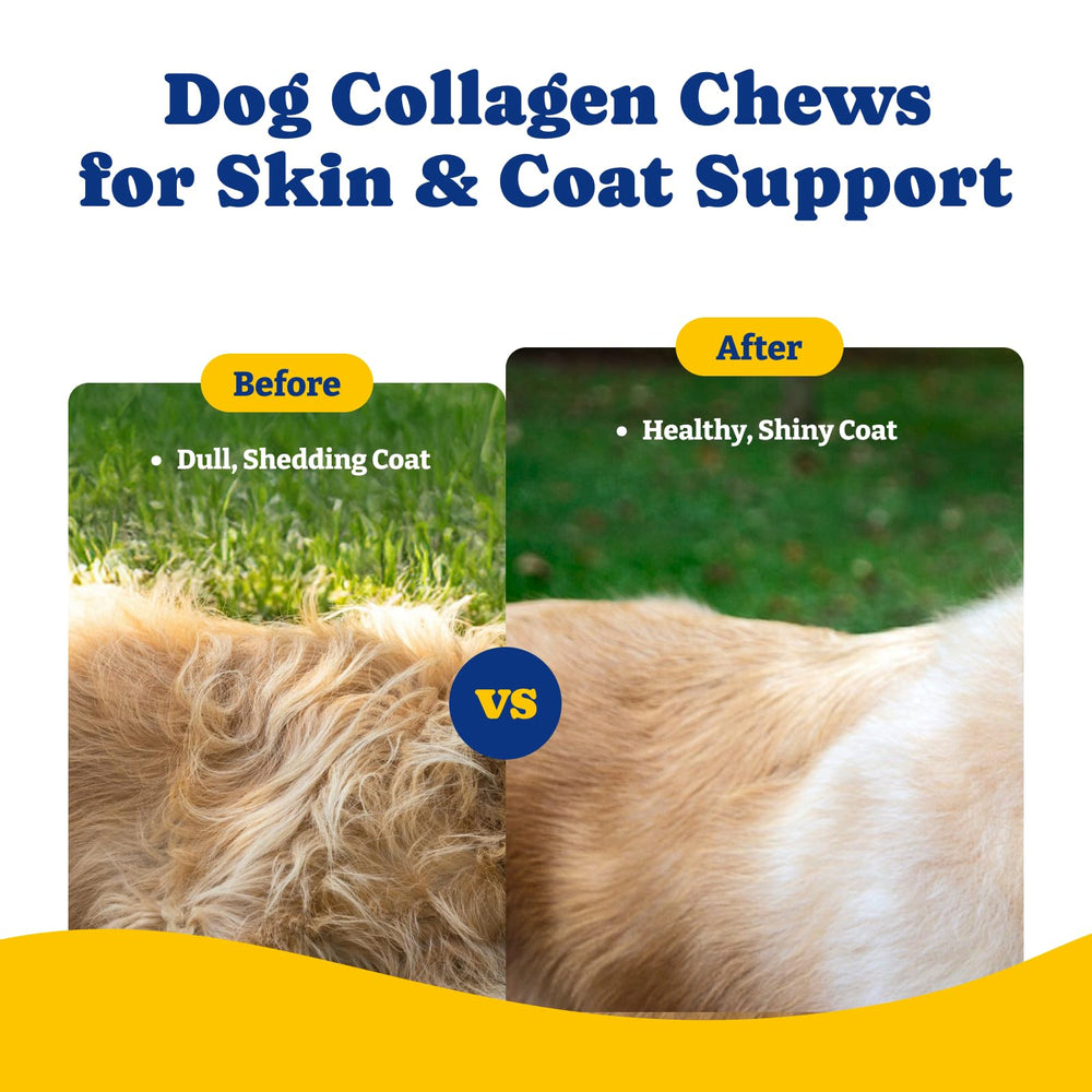 YoYoBay collagen dogs hydrolyzed-collagen closeup signals quality ingredients