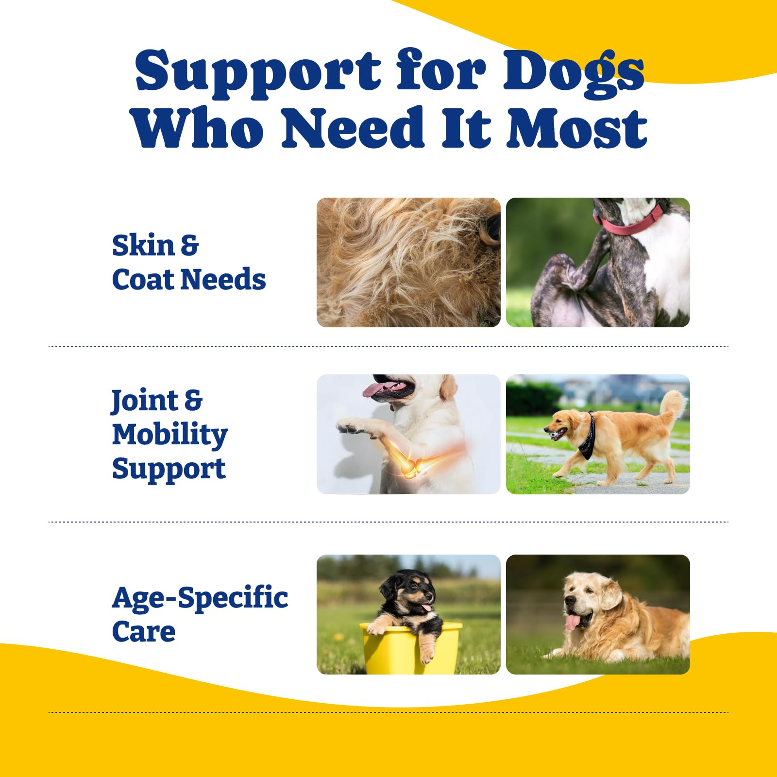 YoYoBay collagen dogs superfoods-ingredients image hints comprehensive nourishment