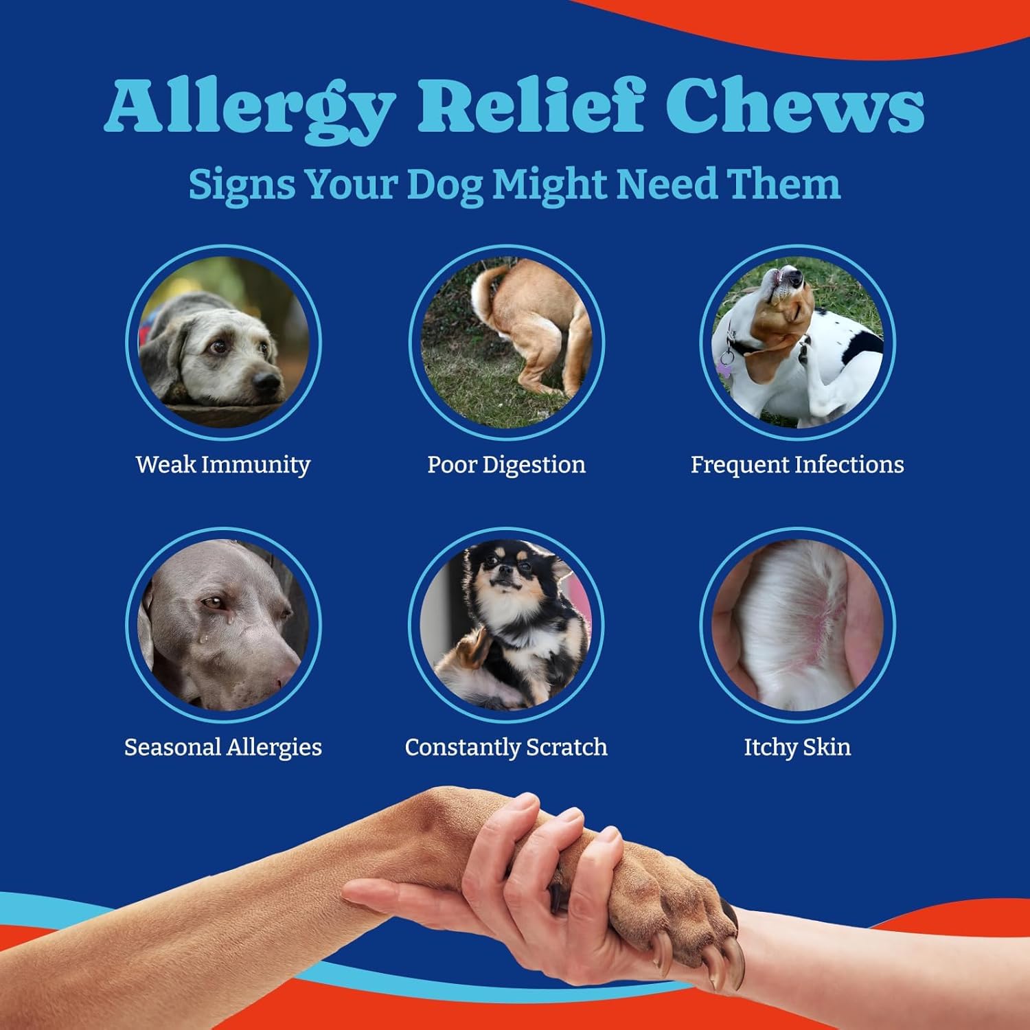 YoYoBay soft chew texture close-up signals easy-to-chew treats for dogs