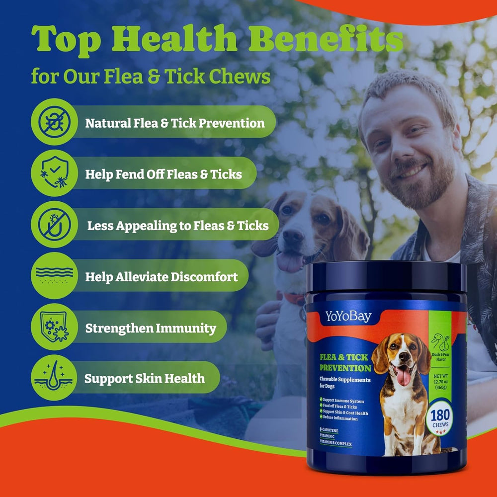 Dog happily enjoys YoYoBay chew as part of daily routine