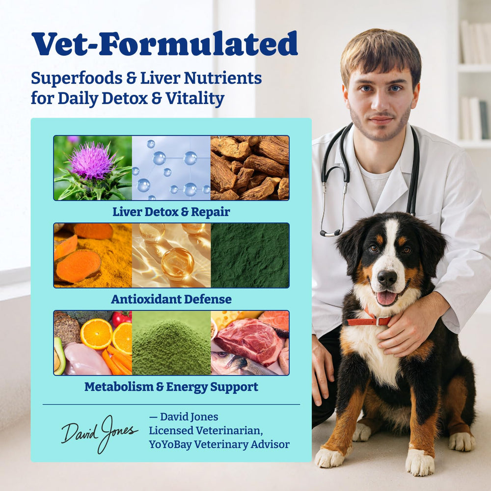 YoYoBay duck pear flavor soft chews entice picky dogs with tasty daily supplement.