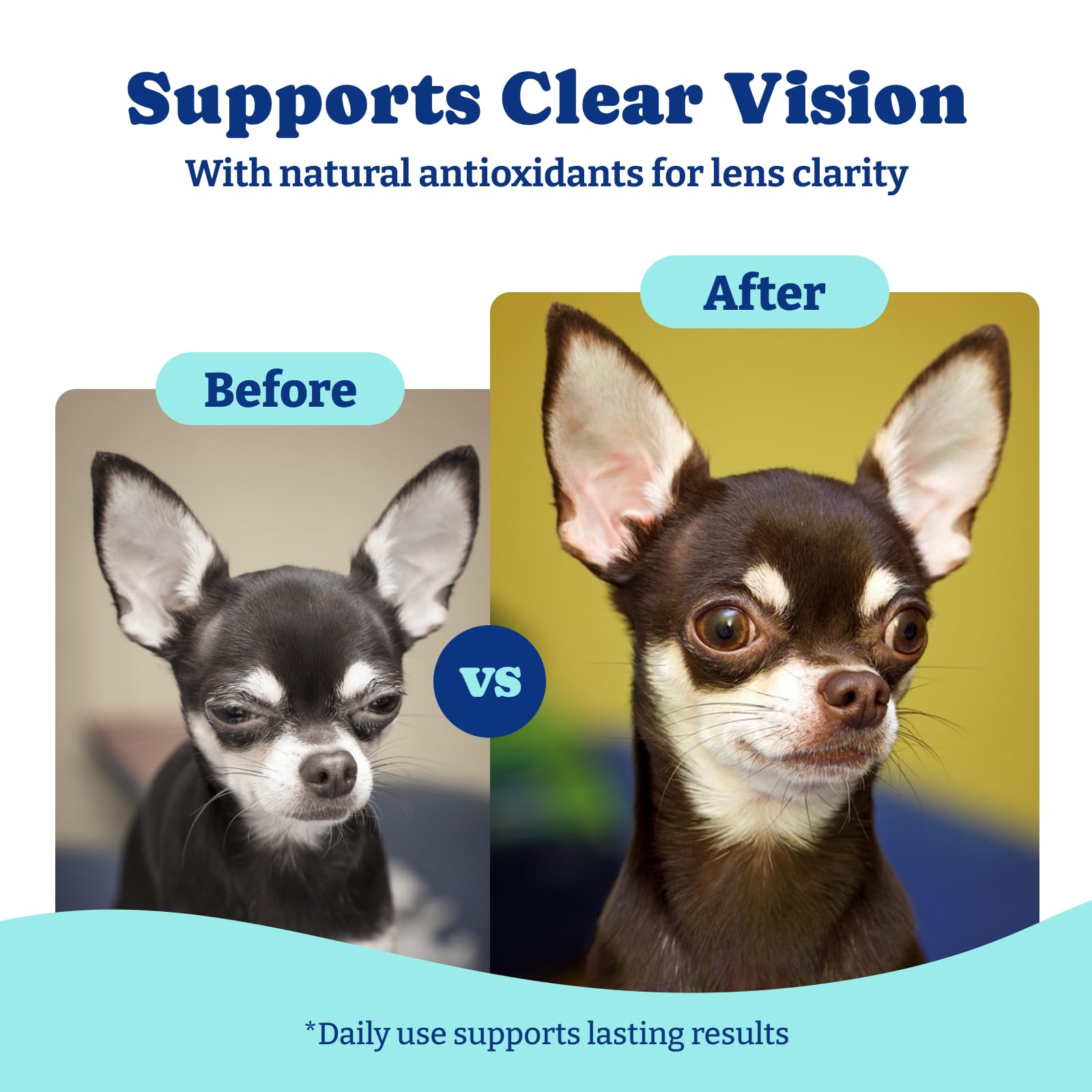 YoYoBay soft chews can be fed as treats or crumbled into meals for convenience.