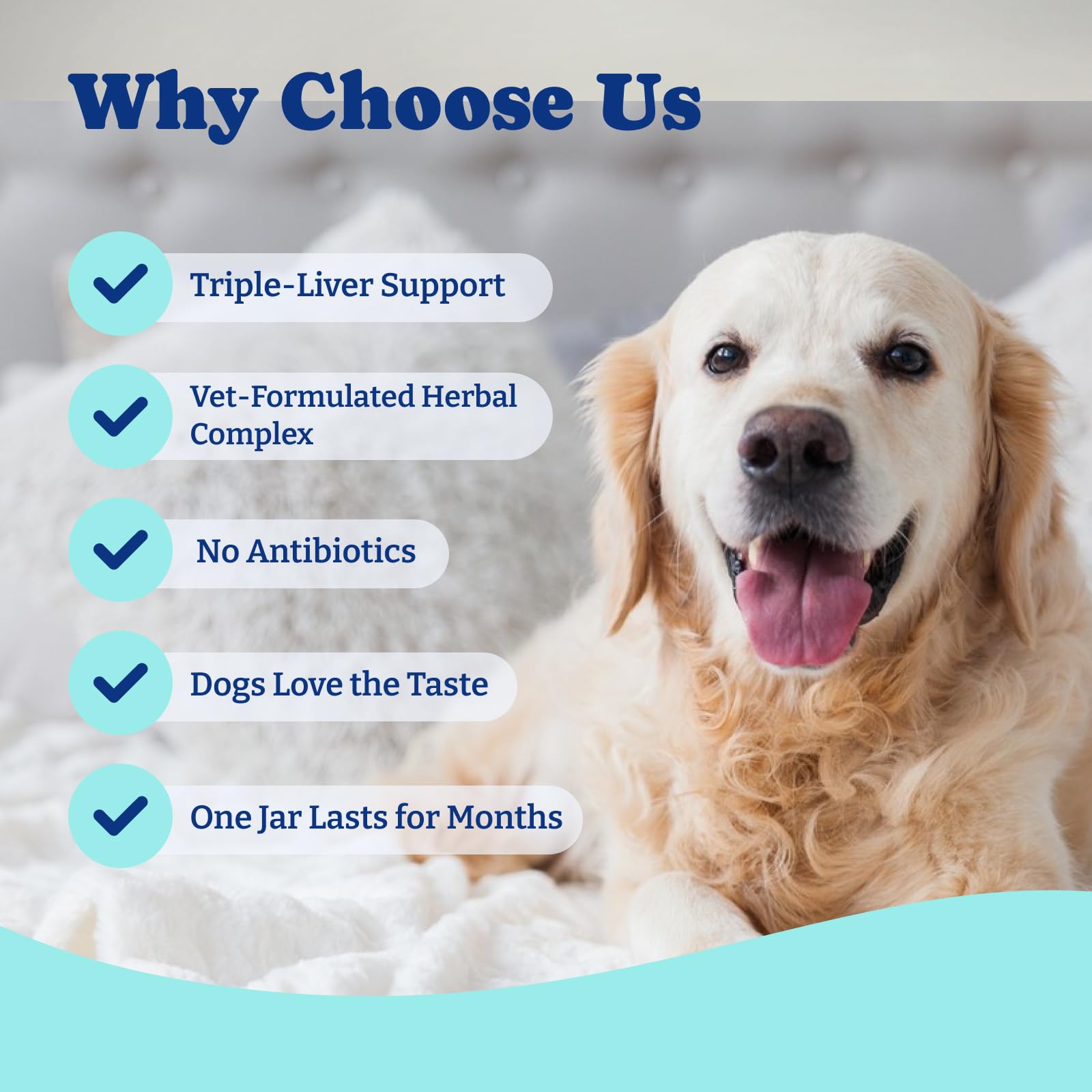 YoYoBay vet-inspired formula uses premium superfoods for gentle daily use.