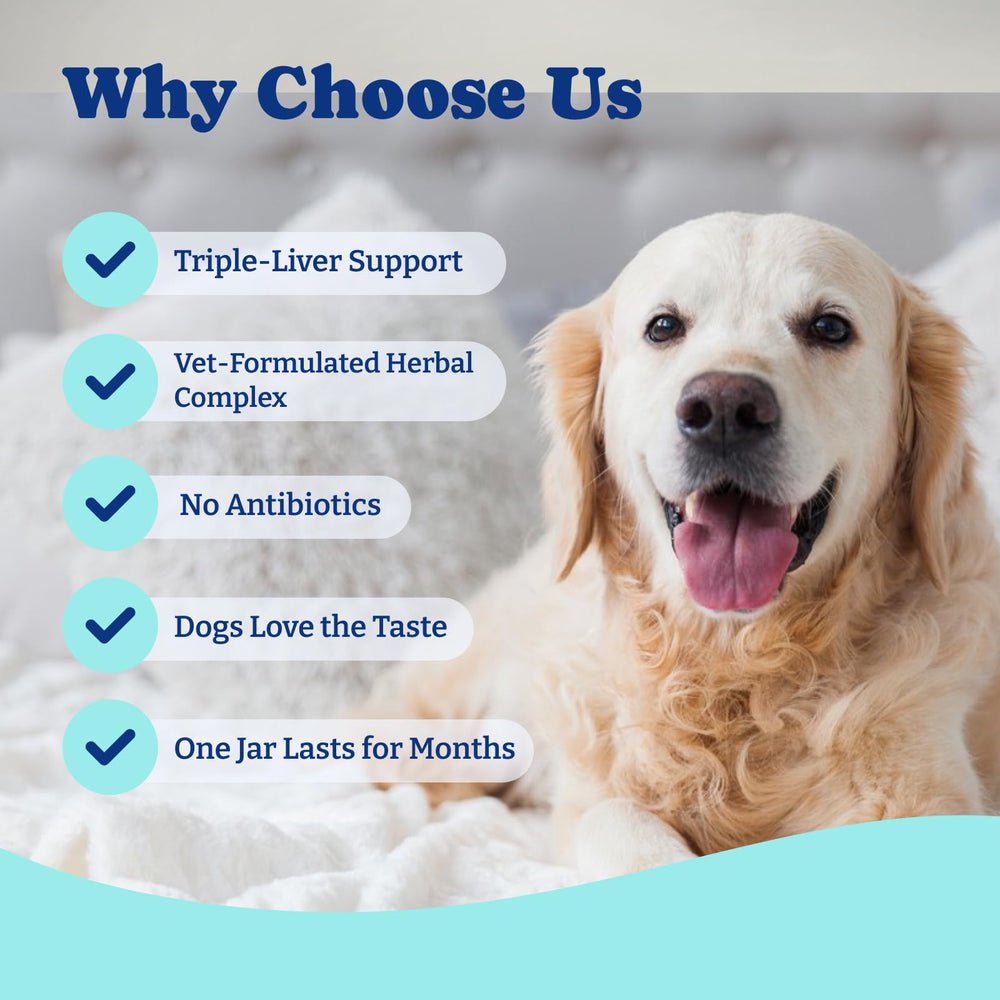 YoYoBay vet-inspired formula uses premium superfoods for gentle daily use.
