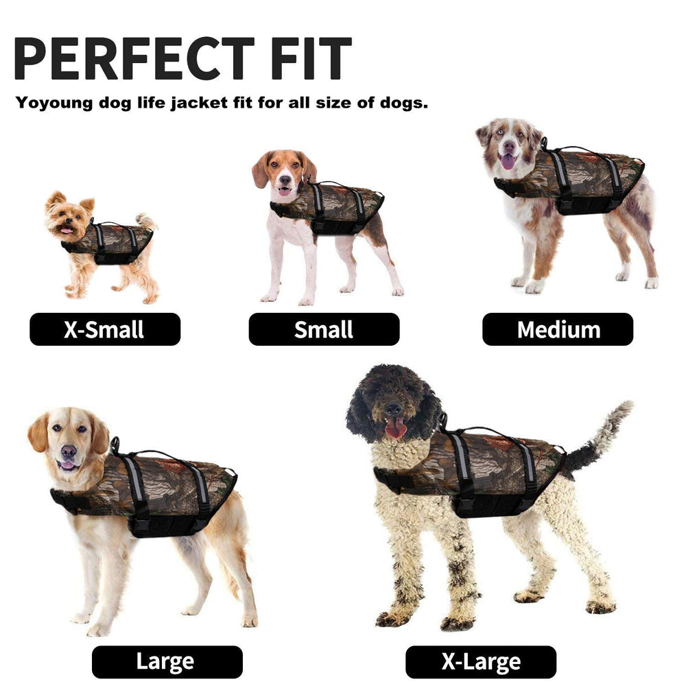 yoyoung top-handle and D-ring on life coat for easy control