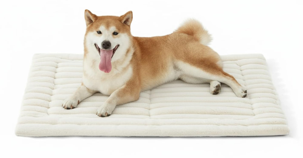 YQLKYMLO pet cushions dog bed mat plush fabric close-up showing cozy warmth
